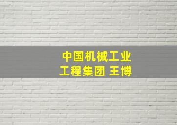 中国机械工业工程集团 王博